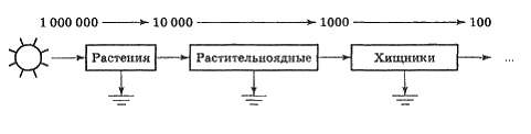 Сколько процентов энергии доходит до второго трофического уровня на приведенной схеме